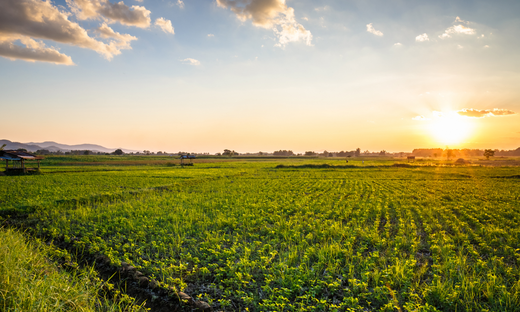 Data-Driven Farming: What Can Be Gained from Leveraging Embedded Systems? 